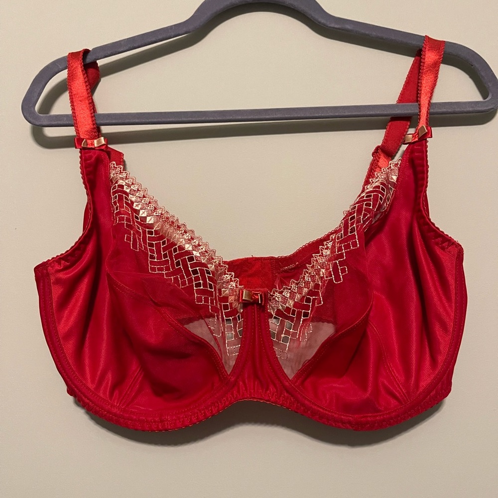 Sexy Red! Curvy Kate bra 38G